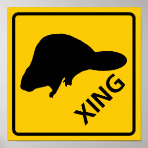 POSTER SYMBOLE DE LA ROUTE DU PARCOURS-PARCOURS DU BÉTAIN