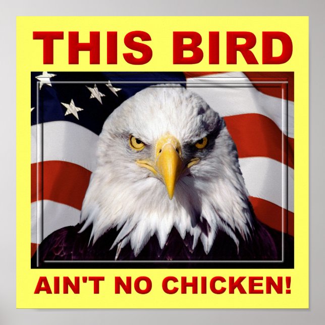 Poster Symbole de l'Aigle Américain n'a pas de poulet (Devant)