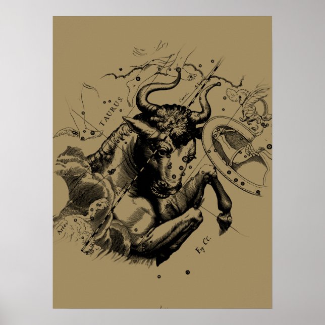Poster Symbole de Taurus Constellation Hevelius circa 169 (Devant)