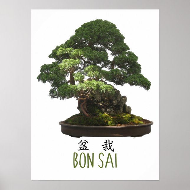 Poster Symbole et arbre de bonsaï japonais (Devant)