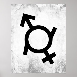 Poster Symbole genre féminin et masculin