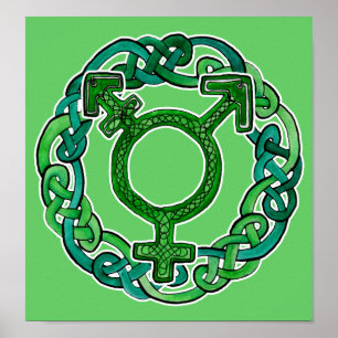 Poster Symbole transgenre du réseau