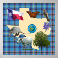 Symboles d'état du Texas