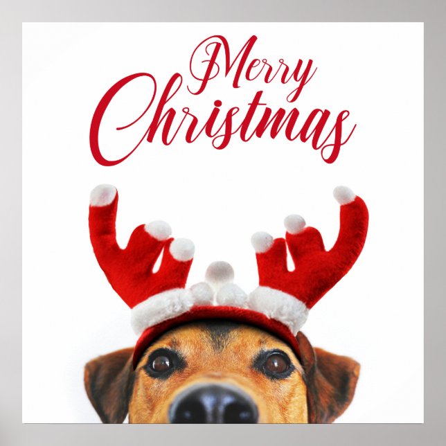 Poster Sympa Christmas Chien Reindeer Antler Headband (Devant)