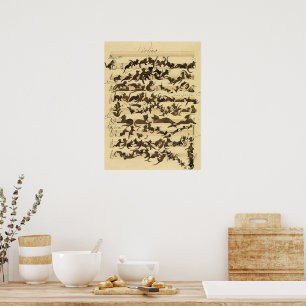 Poster Symphonie de chat par Moritz von Schwind