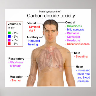 Poster Symptômes principaux du diagramme de toxicité du d