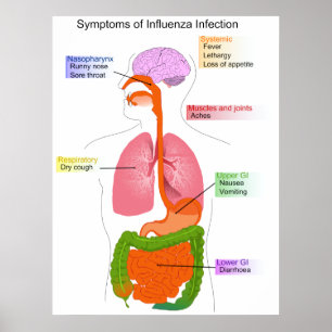 Poster Symptômes principaux d'un diagramme d'infection gr