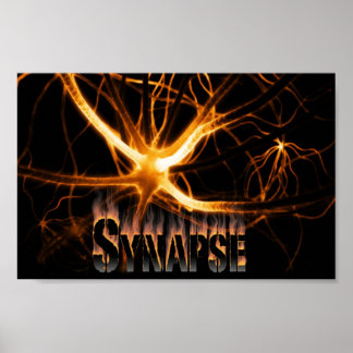 Poster Synapse feu rouge
