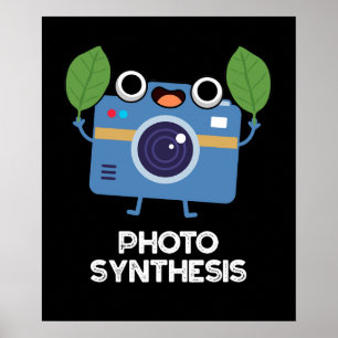 Poster Synthèse de la photo Funny Camera Pun Dark BG