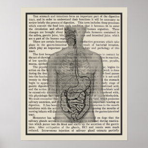Poster Système digestif Anatomie Art Imprimer #5