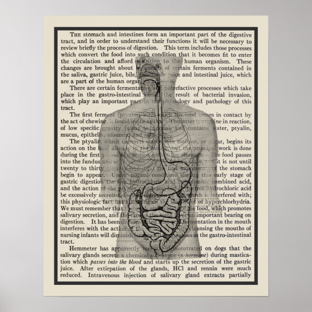 Poster Système digestif Anatomie Art Imprimer #5 (Devant)