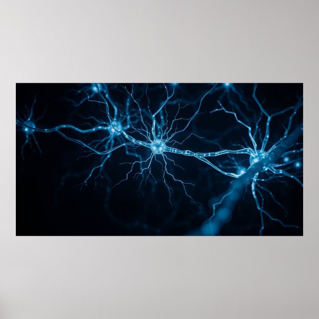 Poster système nerveux (Devant)
