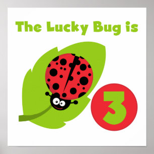 Poster T-shirts et cadeaux 3e anniversaire Lucky Bug