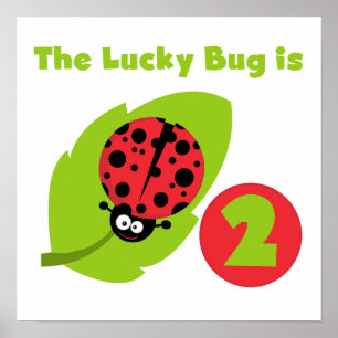 Poster T-shirts et cadeaux Lucky Bug 2e anniversaire