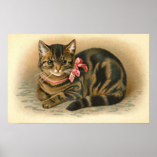 Poster "Tabby Cat"