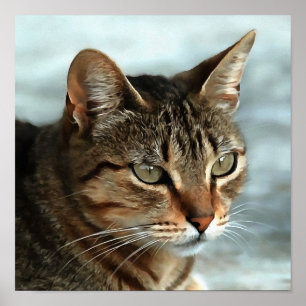 Poster Tabby Cat étonnant FermerPortrait Artistique