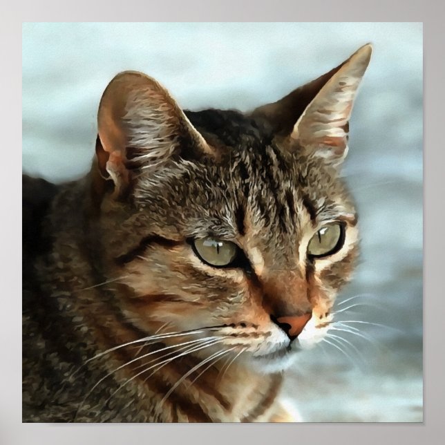 Poster Tabby Cat étonnant FermerPortrait Artistique (Devant)