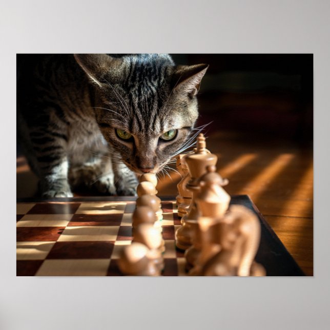 Poster Tabby Cat Jouer Aux Échecs (Devant)