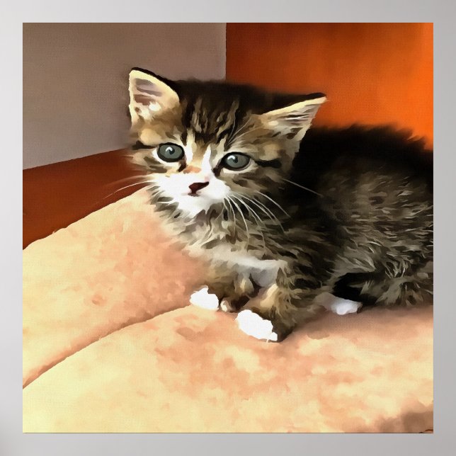 Poster Tabby Cat Kitten Portrait pour animaux (Devant)
