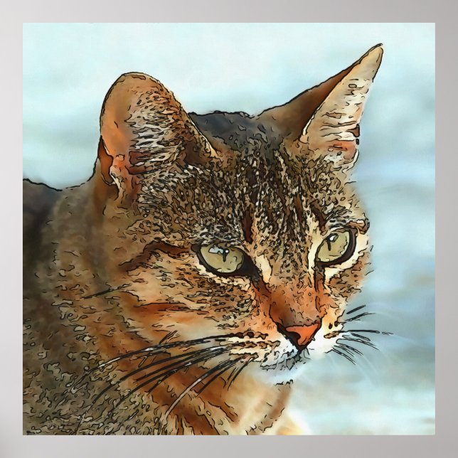 Poster Tabby Cat RB Style Dessin Artistique (Devant)