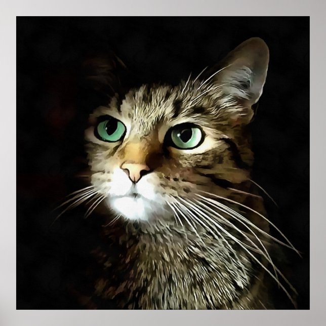 Poster Tabby Chat Aux Yeux Verts Isolé Sur Noir (Devant)