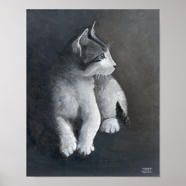 Poster Tabby Kitten (Devant)