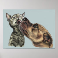 Tabby Kitten Obtenir Un Pit Bull Baiser