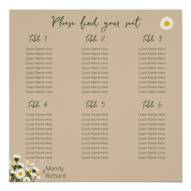 Poster Tableau minimal des fleurs de marguerite blanche (Devant)