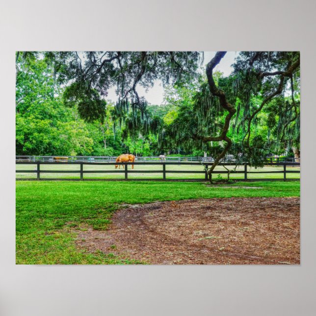 Poster Tablettes Boone Hall (Devant)