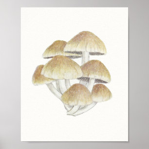 Poster Tabouret vintage Champignons champignon champignon