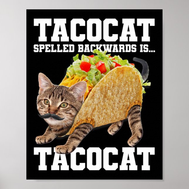Poster Taco Chat Écrit À L'Arrière Est Tacocat Mème Silly (Devant)