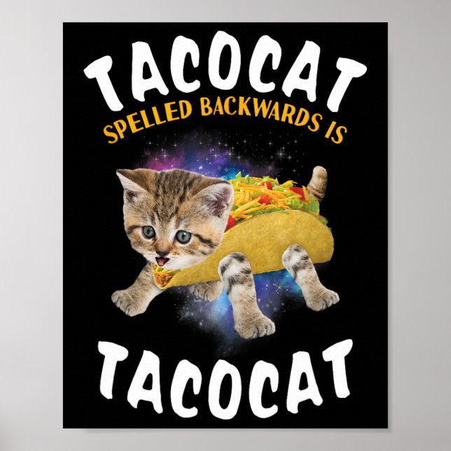 Poster Tacocat Écrit À L'Arrière Est Tacocat Tee Cat Et T (Devant)