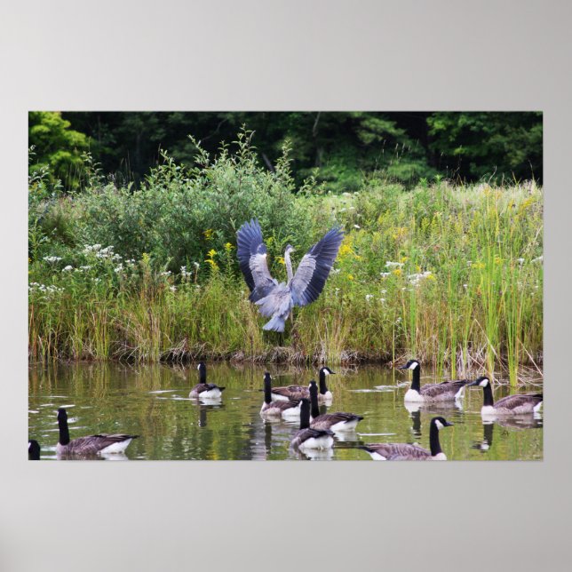 POSTER TADA ! (Devant)