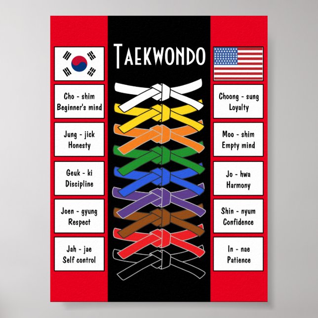 Poster Taekwondo (Devant)