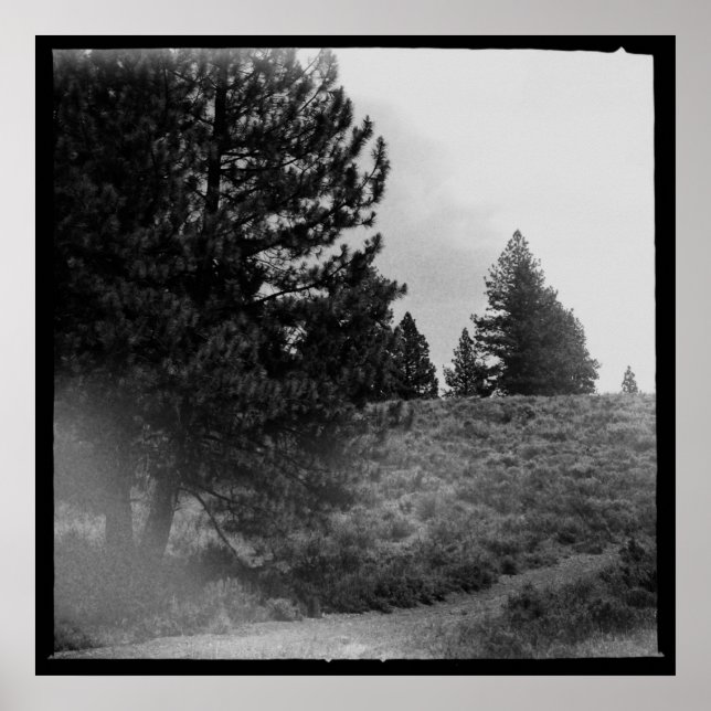 Poster Tahoe National Forest Scene Carré 24x24 Photo (Devant)