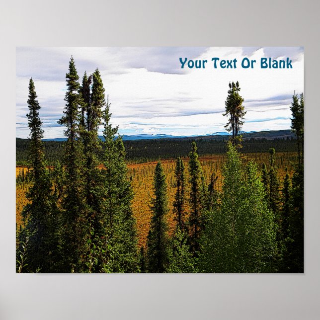 Poster Taiga été (Devant)