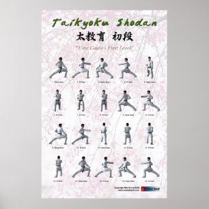 Poster Taikyoku Shodan - Première Kata