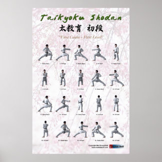 Poster Taikyoku Shodan - Première Kata