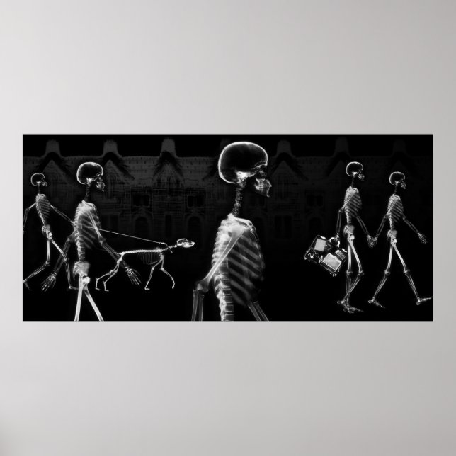 Poster Taille personnalisée X-Ray Skeleton Aquarium Arriè (Devant)