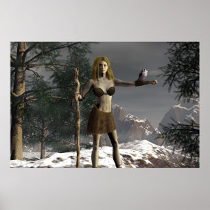 Poster Tailles de faucon