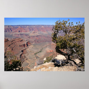 Poster Tailles montantes