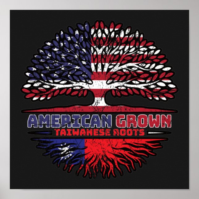 Poster Taïwanais Taïwan États-Unis États-Unis (Devant)