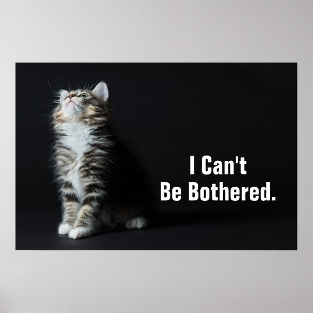 Poster Tall Tabby (Devant)