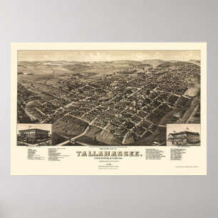 Poster Tallahassee, FL Carte panoramique - 1885