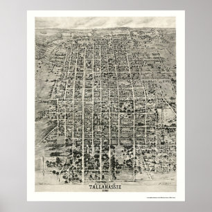 Poster Tallahassee, FL Carte panoramique - 1926