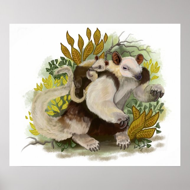 Poster Tamandua Anteater (Devant)