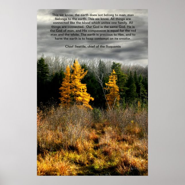Poster Tamarack Three Seattle Quote Card, Seattle Quote C (Devant)