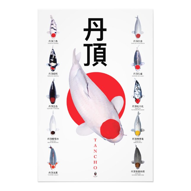 Poster Tancho Collection Koi - 10 variétés (Devant)