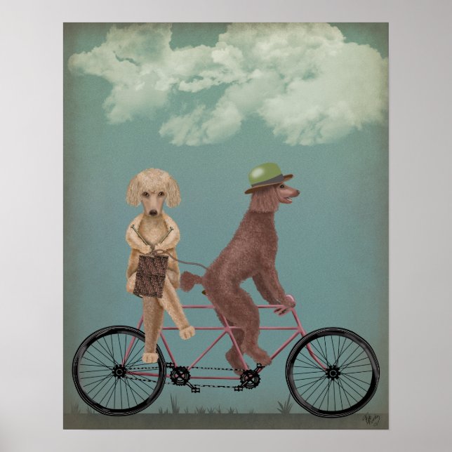 Poster Tandem de caniche (Devant)