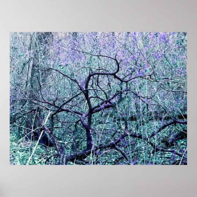 Poster Tangle en bleu (Devant)